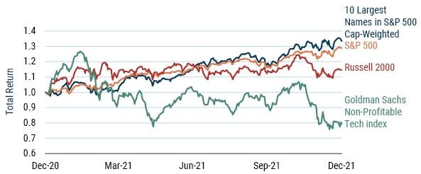 stock market superbubble 2022 (indexes supported by large-cap names)