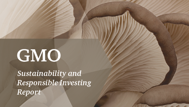 ESG annual report_2021